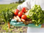 Jornada informativa para asociaciones en El Rosal