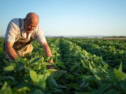 Productores de Tocancipá fortalecen su aprendizaje