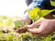 Productores de Tocancipá participan en la jornada de aprendizaje en agropecuaria