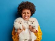 Alcaldía de Madrid garantiza salud animal