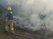 Aumentan los incendios forestales en el departamento de Cundinamarca