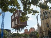 BOG25: Exhibe Arrancada de raíz en Lourdes