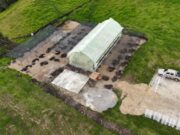 CAR inicia construcción de 47 viveros municipales