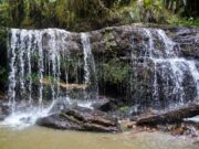 CAR y PNUD lanzan convocatoria para proteger microcuencas