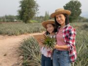 Convocatoria para juventud campesina en Nemocón