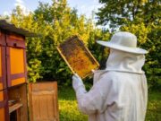 Cundinamarca impulsa la apicultura con encuentro regional