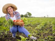 En Subachoque abren Convocatoria “Apoyo a Iniciativas Productivas”