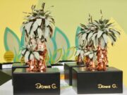 Premios Ambientales CAR 2025