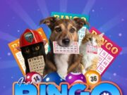 Tabio realiza Gran Bingo Solidario por el Bienestar Animal