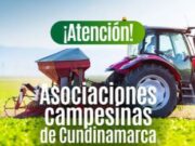 Convocatoria de la Agencia de Comercialización e Innovación apoyará más de 100 organizaciones productivas