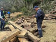 Control ambiental en Cundinamarca: protegen bosques y fuentes hídricas
