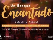 Concierto familiar con Colectivo Animal en Bogotá