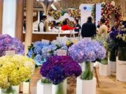 Proflora 2025: Cundinamarca se consolida como epicentro mundial de flores
