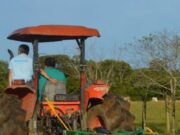 Proyecto fortalece sostenibilidad ganadera y beneficia a 50 familias