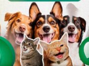 Se acerca el Festival PatasFest en Madrid