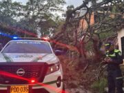 Unidad de Gestión del Riesgo refuerza la prevención en 85 municipios