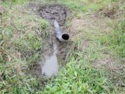 Autoridades detienen vertimientos ilegales al río Bogotá desde matadero en Mosquera