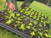 CAR y Museo de Historia Militar de Tocancipá, aliados por la economía circular en Cundinamarca