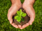 Cajicá invita a postular sus proyectos ambientales