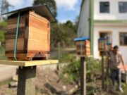 CAR y Gobernación instalan meliponarios piloto en 11 municipios del departamento