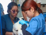 En Mosquera fue un éxito la Semana de Bienestar Animal