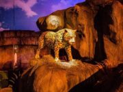 Más de 20 mil personas recorrieron el pabellón Cundinamarca Biodiversa