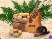 Sesquilé anuncia la programación oficial del V Festival de la Tierra y su Cosecha