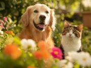 Soacha realiza jornada masiva de vacunación antirrábica