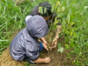 CAR y Gobernación fortalecen la reforestación en 48 municipios