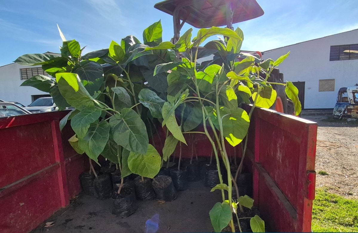 Productores afectados reciben apoyo para fortalecer la producción rural en Cajicá