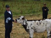 Productores participaron en gira técnica Normando en Sibaté