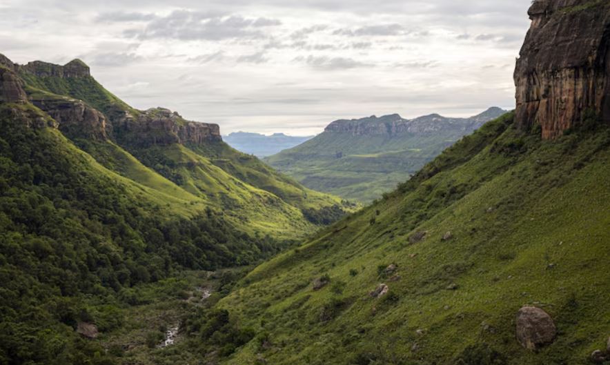 Prevenir incendios forestales es responsabilidad de todos en Soacha