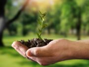 Tocancipá promueve reforestación y sostenibilidad ambiental