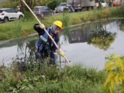 Nuevo vivero fortalecerá la restauración ecológica del humedal Gualí