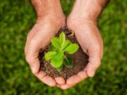 Cajicá abre convocatoria para ser Vigías Ambientales Voluntarios