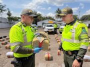 Cundinamarca decomisa 108 mil dosis de marihuana en corredor vial