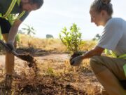 Empresas y comunidad de Tocancipá podrán unirse a estrategia ambiental