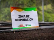Nuevo vivero forestal impulsará reforestación en Chía