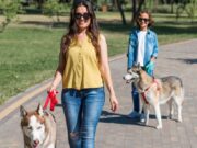 Paseadores de perros en Sopó deberán registrarse