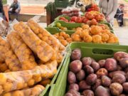 Plaza Campesina escenario de tradición y sostenibilidad en Cajicá