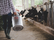 Productores rurales de Tabio podrán capacitarse en oferta Campesena