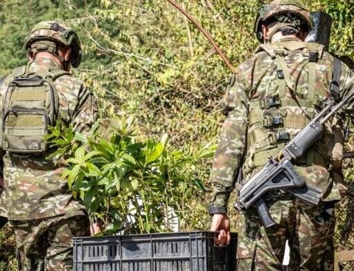 Arranca plan ambiental con jornadas de reforestación y limpieza