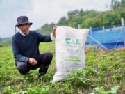 En la provincia de Ubaté y municipios cercanos impulsan economía circular con fertilizante derivado del buchón