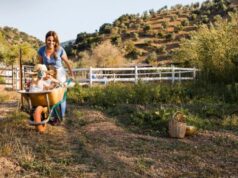 Emprendedores de Tabio podrán resolver dudas sobre la convocatoria “Tabio Construye Emprendimiento 2026”