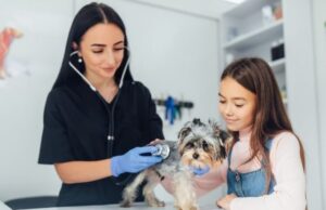 En Fusagasugá habrá jornada gratuita de vacunación y cuidado animal