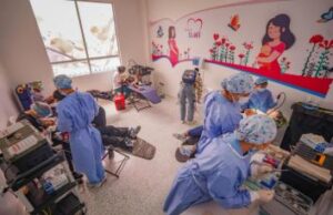 En Mosquera vacunaron a perros y gatos durante jornada de acción integral