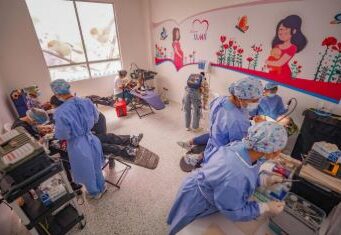 En Mosquera vacunaron a perros y gatos durante jornada de acción integral