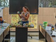 Estrategia busca potenciar los emprendimientos artesanales de Mosquera