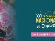 Fusagasugá florece con la XXII Exposición Nacional de Orquídeas