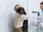 Inscripciones para jornada de esterilización en Tocancipá